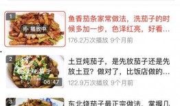 美食小视频爆料文案,揭秘热门美食背后的故事